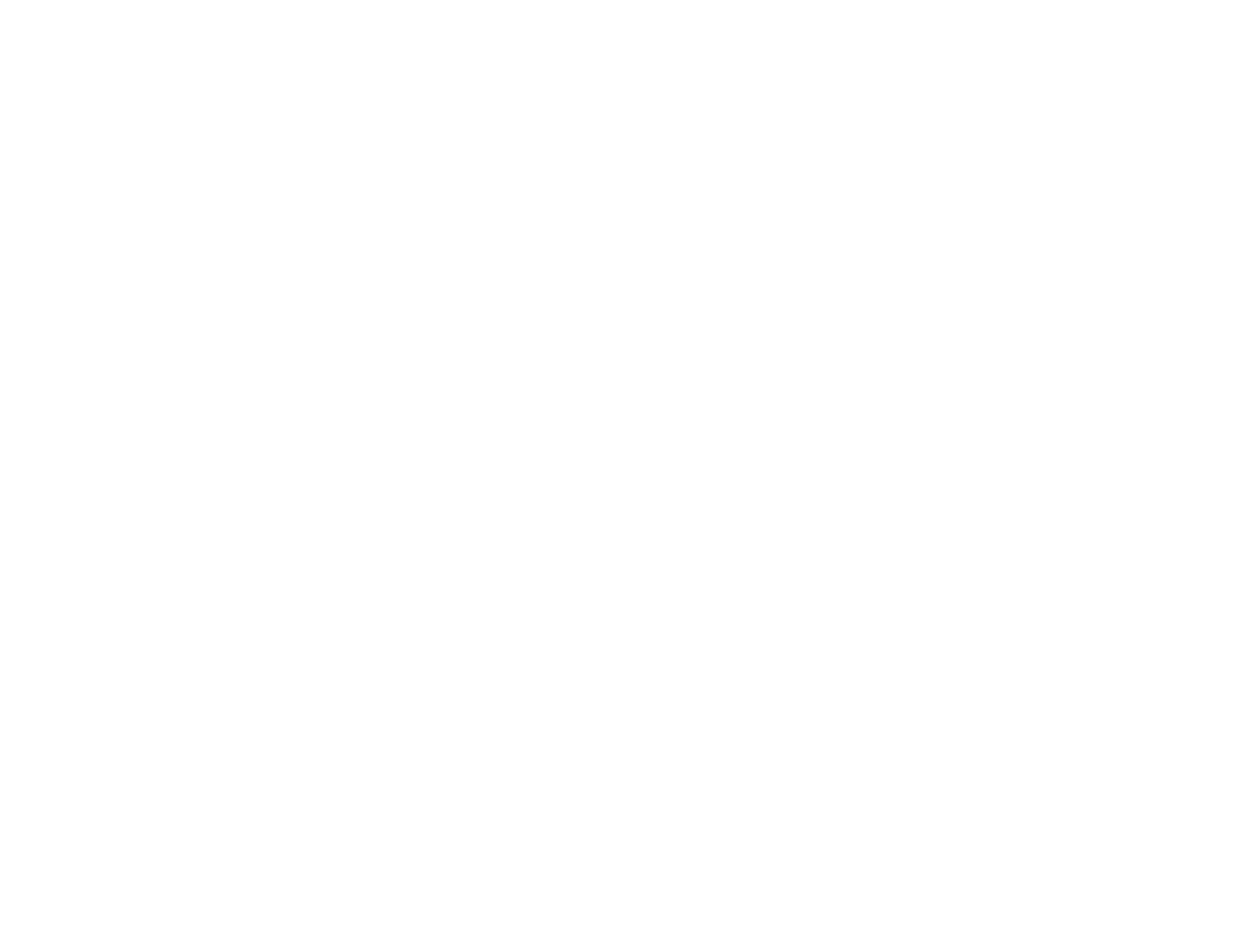NJHIN White Logo