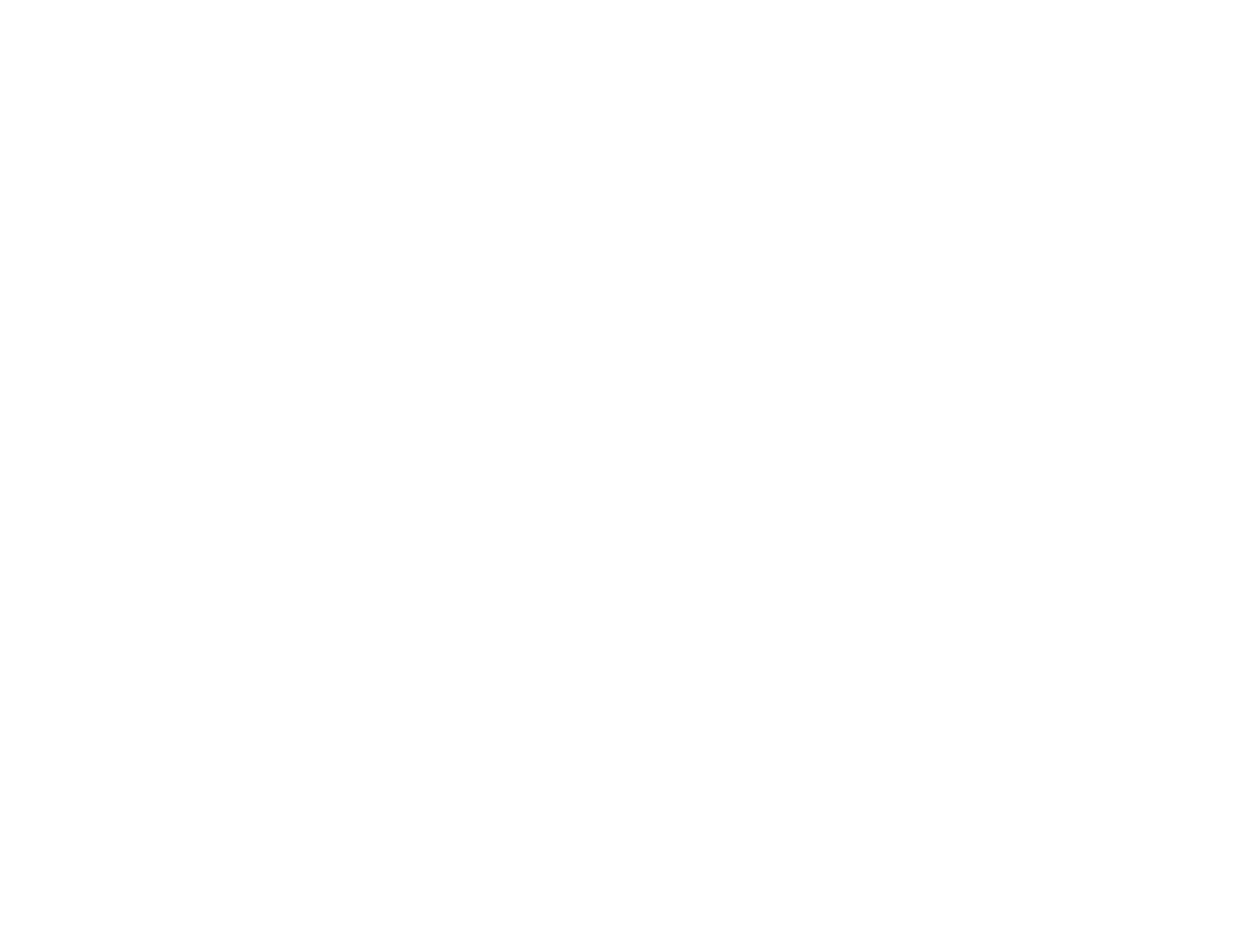 NJHIN White Logo
